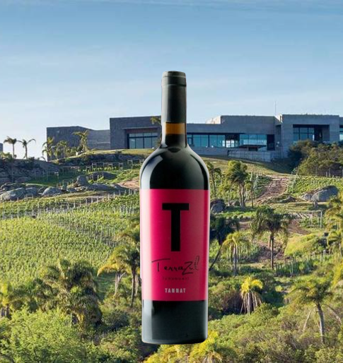 Bodega TerraZul Tannat 2016