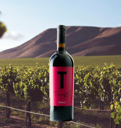 Bodega TerraZul Tannat 2020